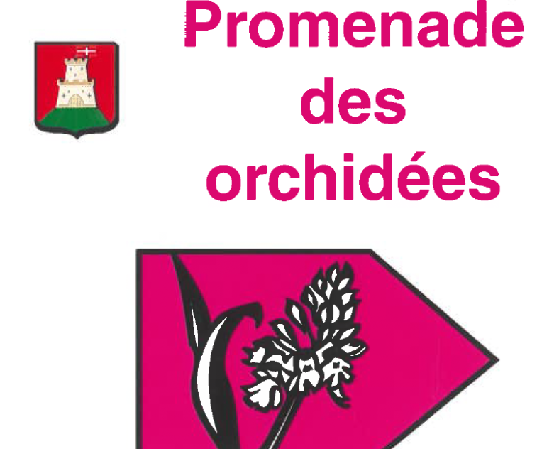 PROMENADE DES ORCHIDÉES