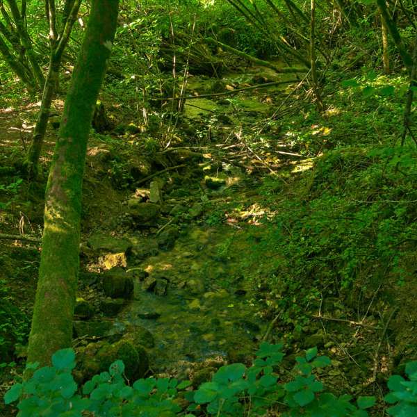 Résurgence du Husprung