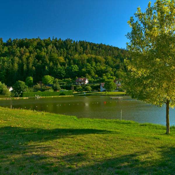 Der Teich von Walscheid