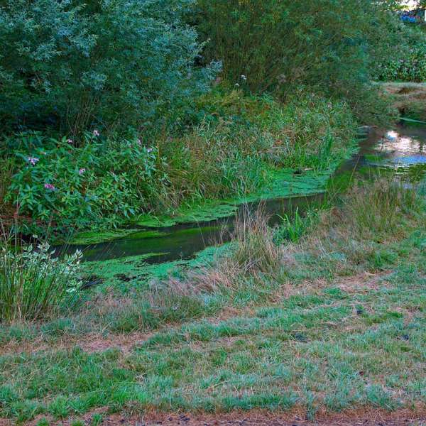 La vallée de la horn