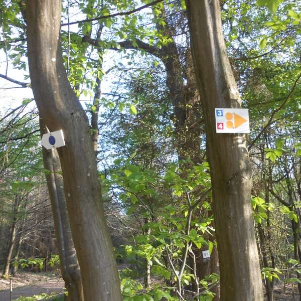 Oderfang - Longeville