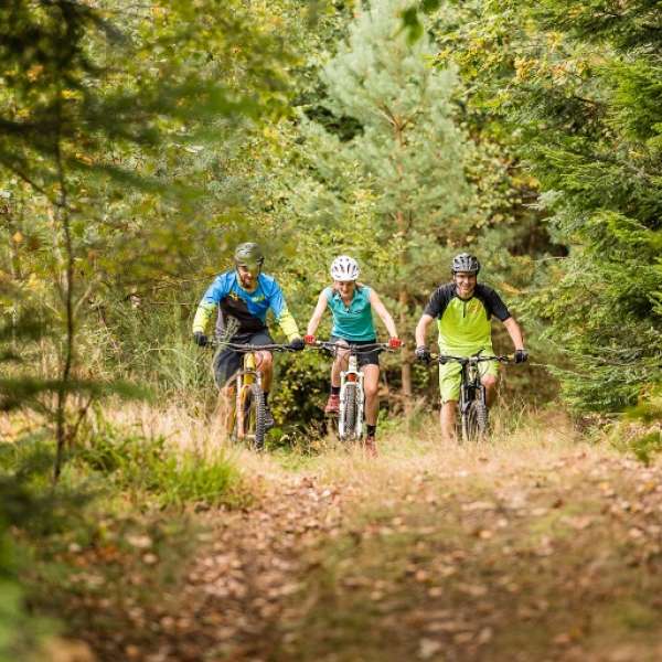 Circuit VTT de Danne-et-Quatre-Vents