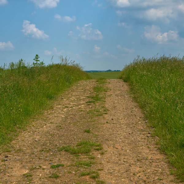 Auf den Mauern der Heiden mit Mountainbikes