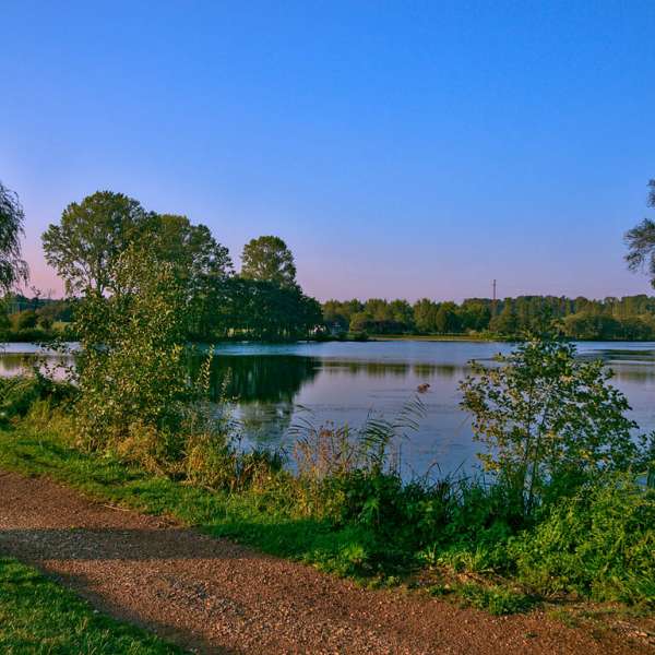 Wanderweg Réding - Sarrebourg