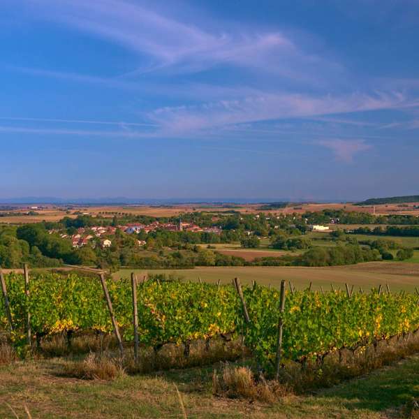 GR5 von Novéant-sur-Moselle nach Dieuze