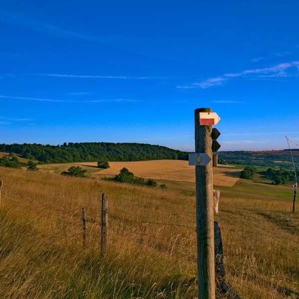 Die Küsten der Mosel