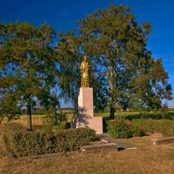 Rundgang durch Obstgärten