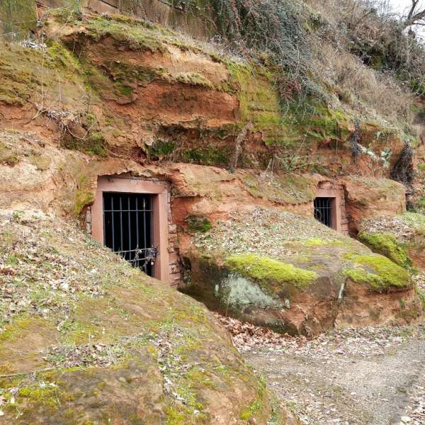 Rundgang durch die große Weide