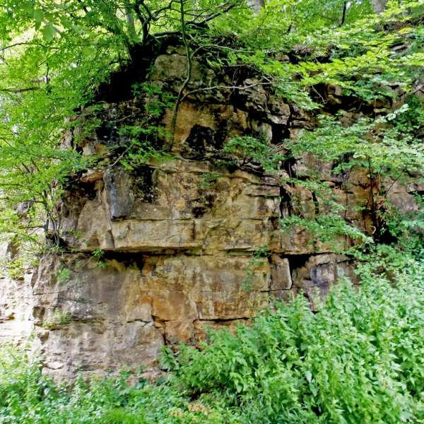 Eisenklemme-Schaltung