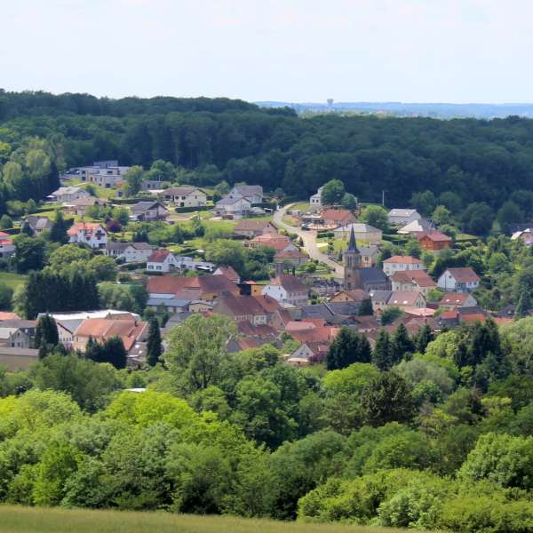 Wildschweinweg zur Bliestalhochebene