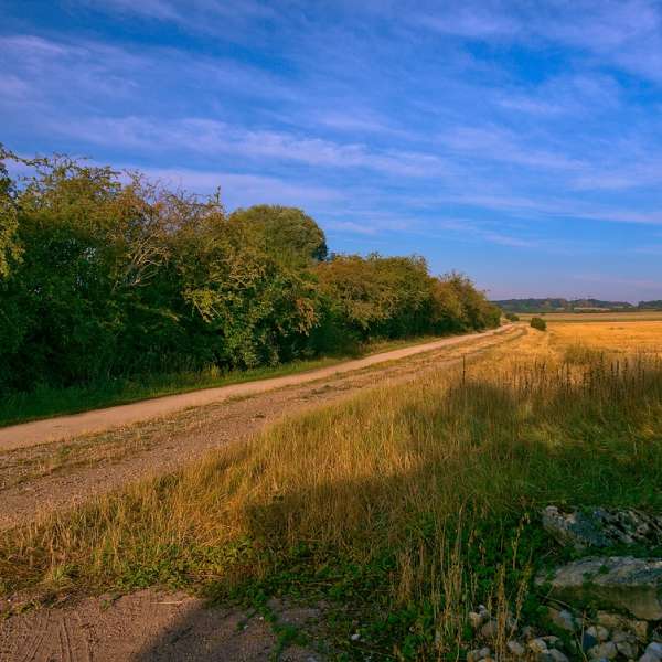 Freundschaftsschleife