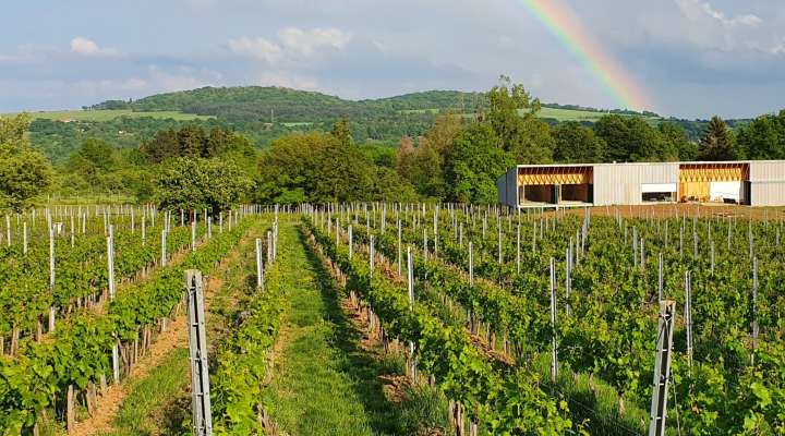 GÄSTEZIMMER SCHLAFEN BEIM WEINBAUER