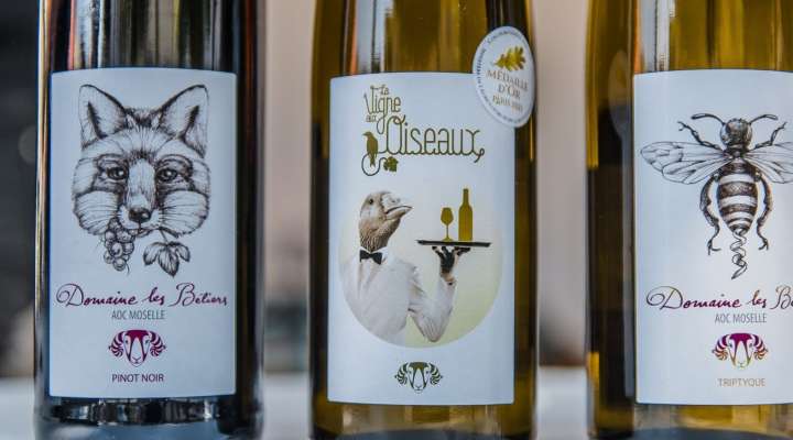 Domaine les béliers