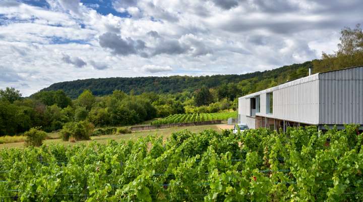 Domaine les béliers