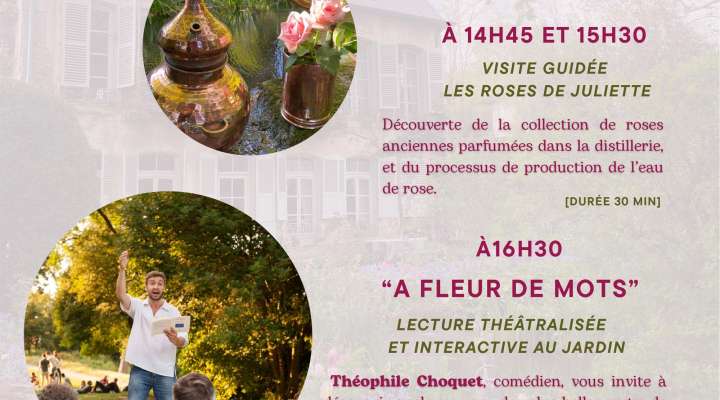 Des Roses et des Mots