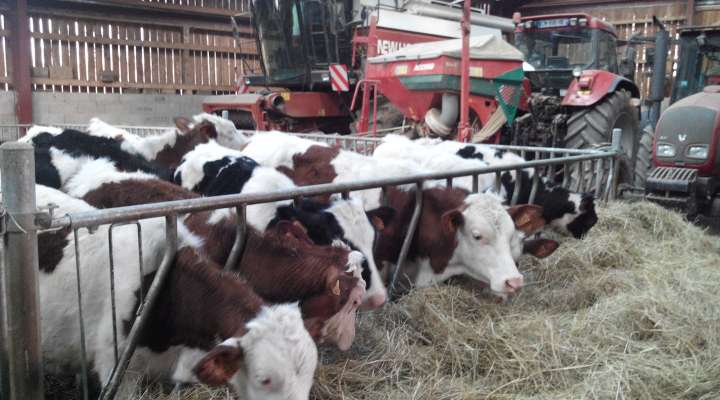 Ferme Gaec la colline des pies