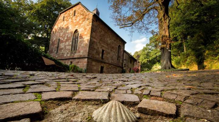 Geführte Besichtigung der Heilig-Kreuz-Kapelle