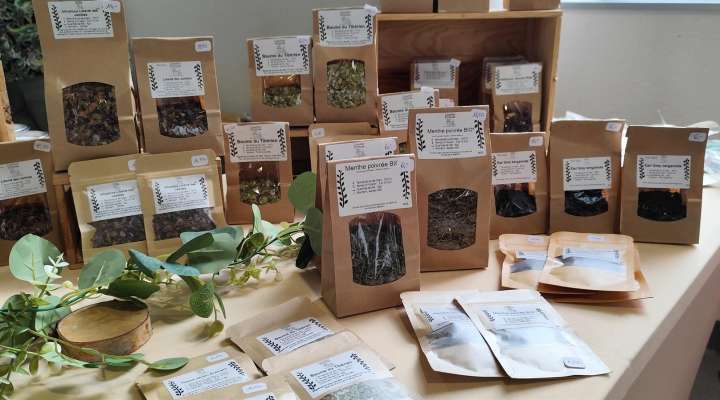 L'Atelier Ermosa by LSN