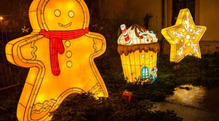 Wettbewerb um den besten Weihnachtskeks