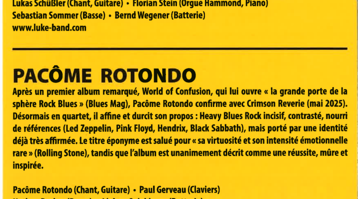 Dieb'Rock & Blues Festival