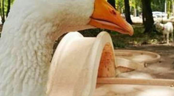 Minigolf in Amnéville