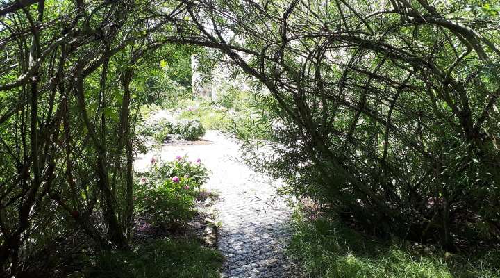 Mittelalterlicher Garten