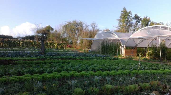 Le Noyer - Grosser Bio-Gemüsegarten