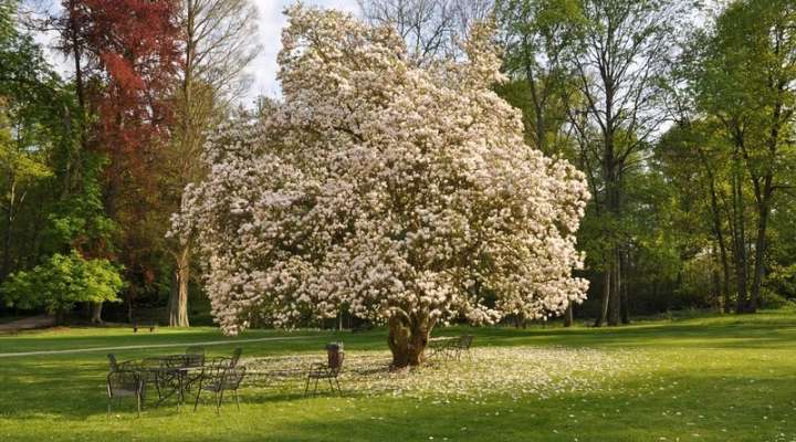 Der Garten von Schloss Preisch