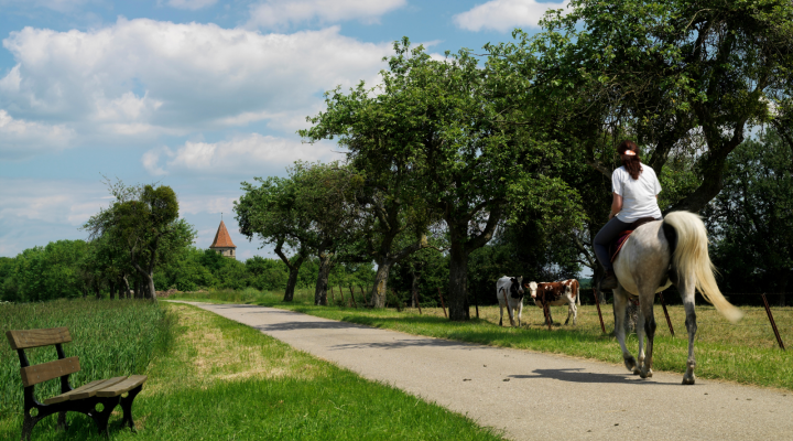 Rundwanderweg Boust