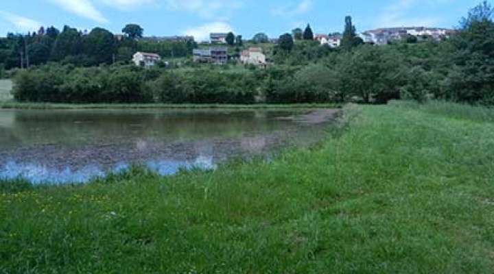 Rundwanderweg Boust
