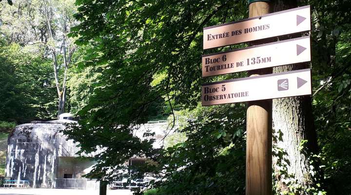 Wanderweg Maginot-Linie