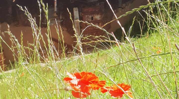 Casemates du Petersberg