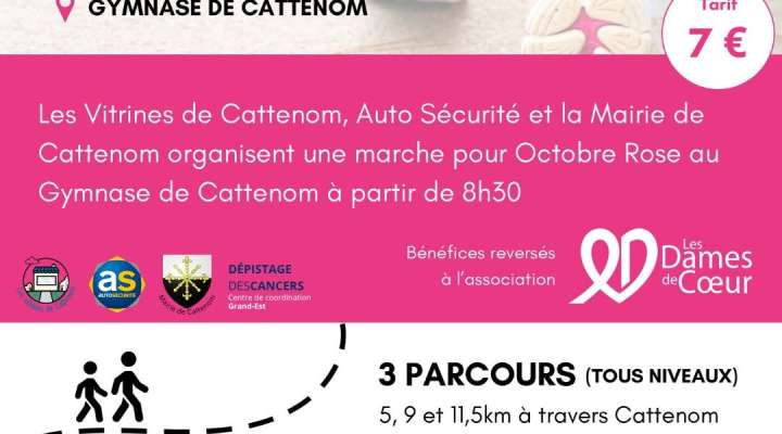 Marche contre le cancer du sein