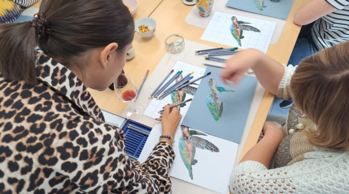 Atelier - Dessin animalier Papillon de nuit