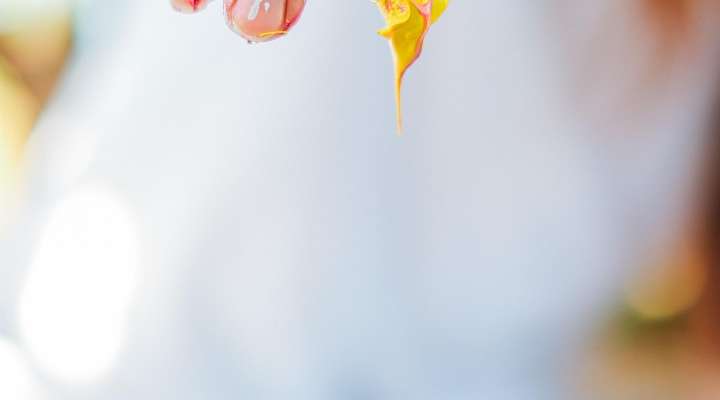 Atelier - Peinture végétale
