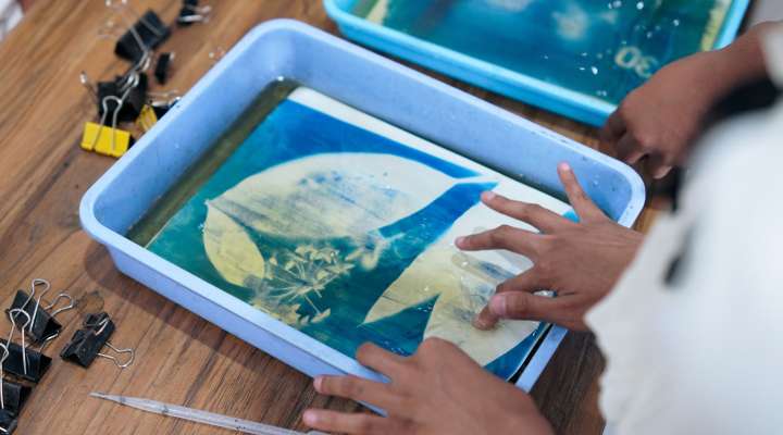 Atelier - Cyanotype