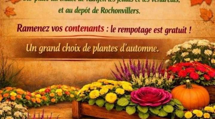 La Boîte à fleurs
