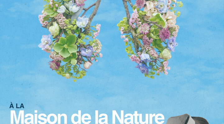Animation Ô grand Air