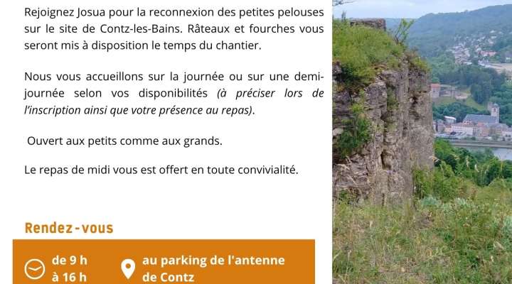 Reconnexion des petites pelouses naturelles