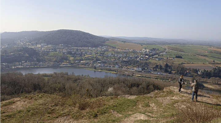 Reconnexion des petites pelouses naturelles