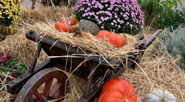 Soirée spéciale Halloween