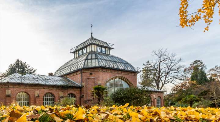 Botanischer Garten in Metz