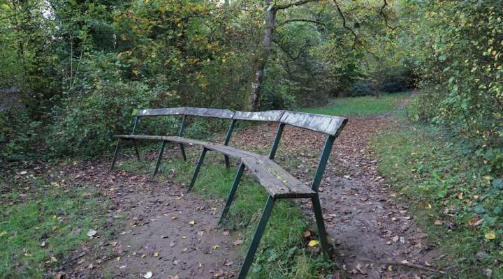 Les pelouses calcaires de la Taye aux Vaches