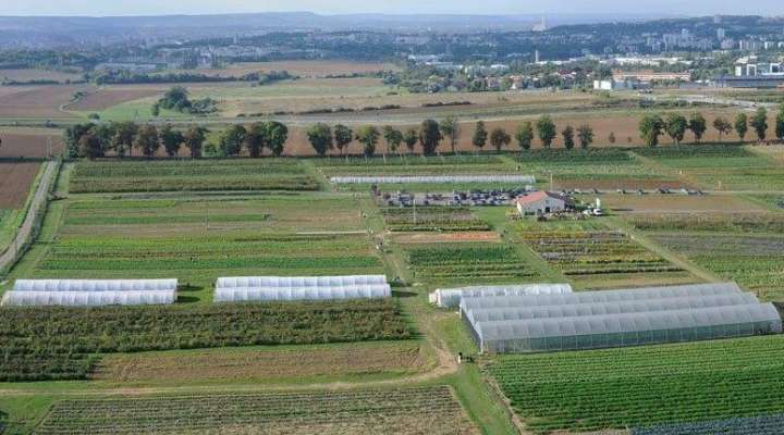 Cueillette de Peltre