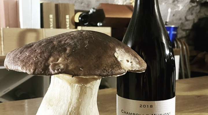 Restaurant - Au cul d'poule