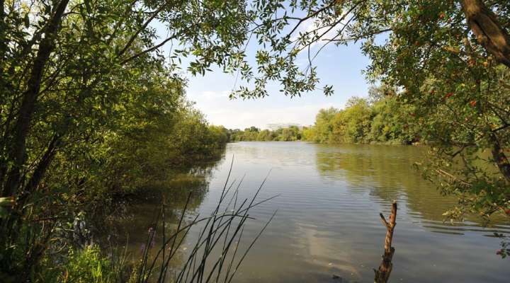 Cheneau Promenade und Symphonie-See