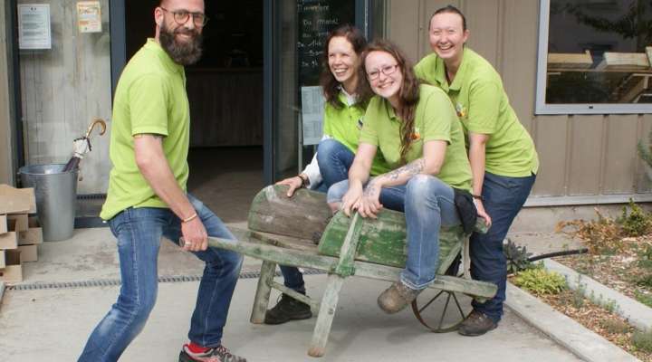 Die Gärten des Moseltals