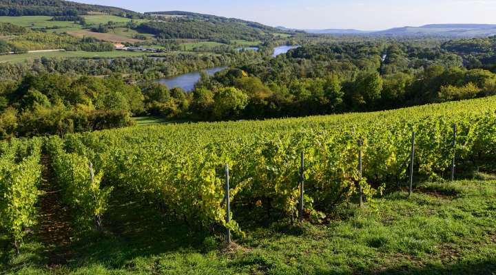 Patrimoine et terroir