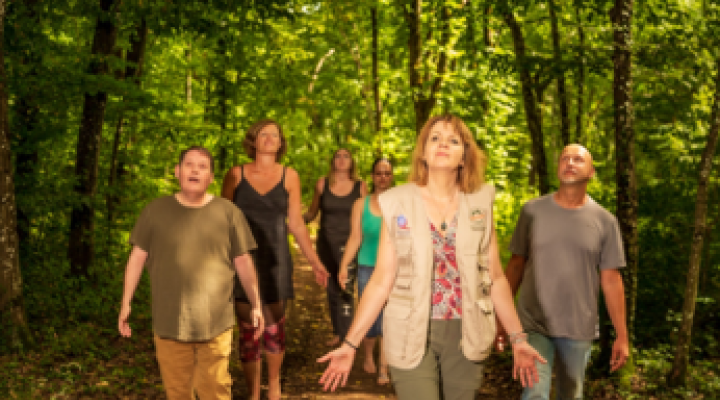 Sylvotherapie: Eintauchen in Sinne und Energie