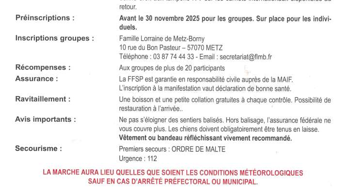 Marche Metz illuminée - 31. Ausgabe